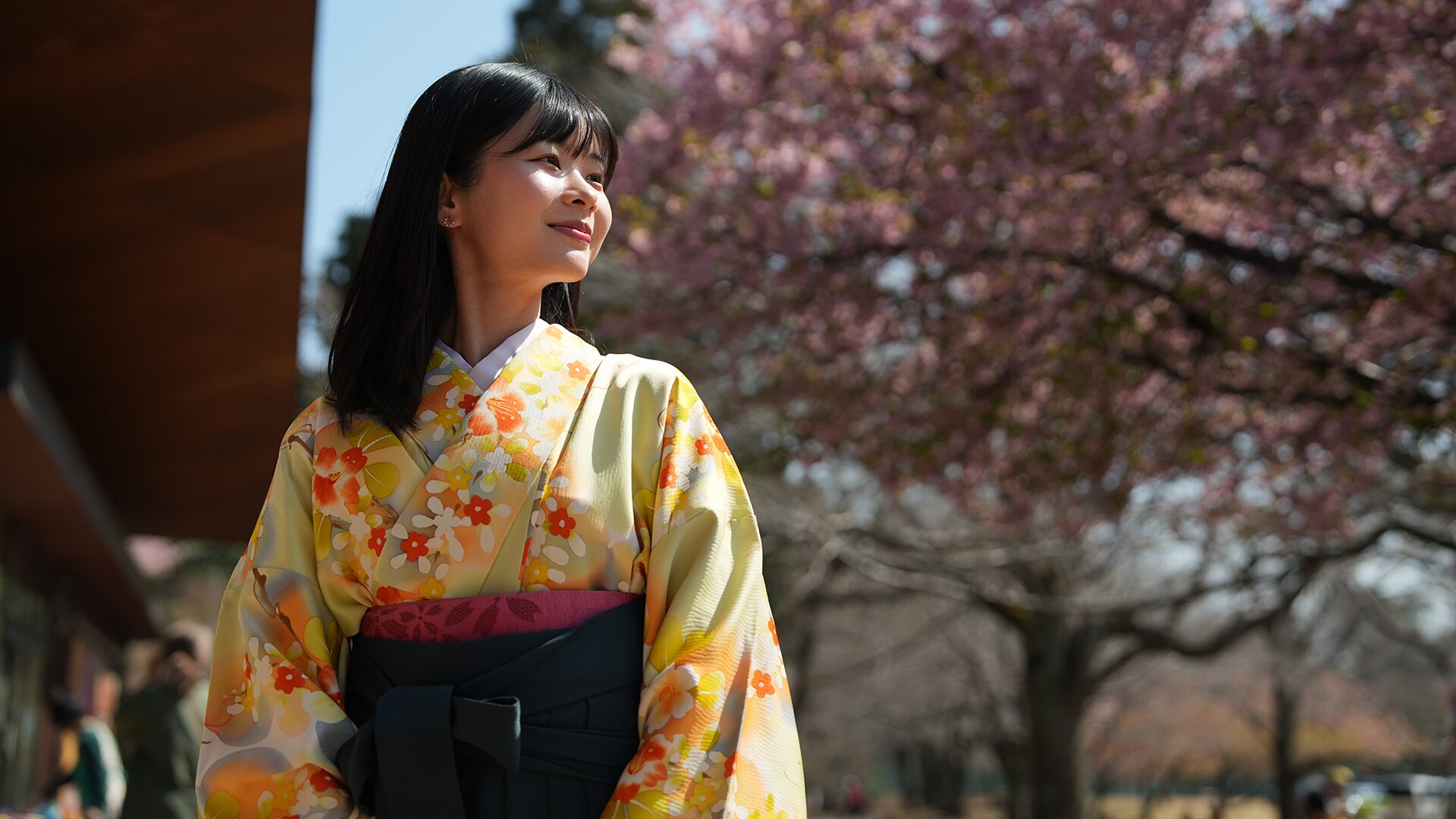 2025年3月22日（土）ドラムの里-さくらまつり